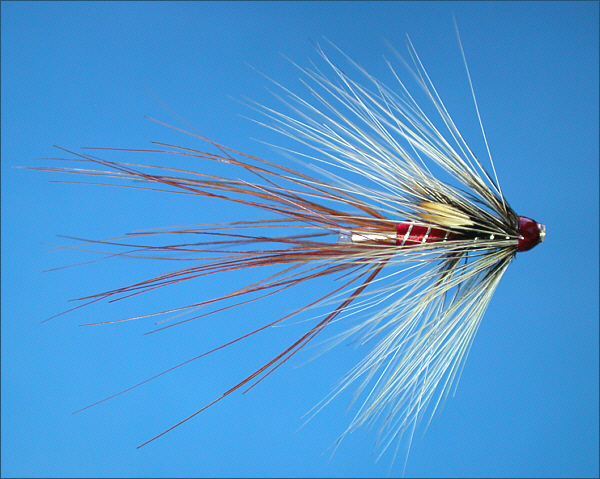 Curry's Red Shrimp Salmon Tube Fly