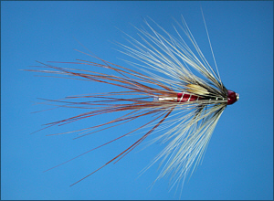 Curry's Red Shrimp Salmon Tube Fly
