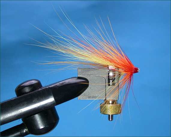 Needle Tube fly