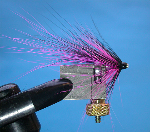 Needle Tube fly