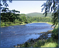 River Spey Fishing