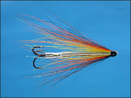 Willie Gunn Tube Fly