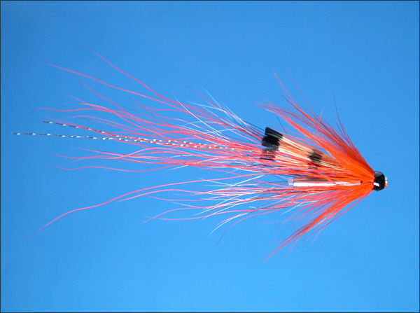 Ally's Shrimp Salmon Tube Fly