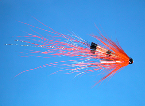Ally's Shrimp Salmon Tube Fly