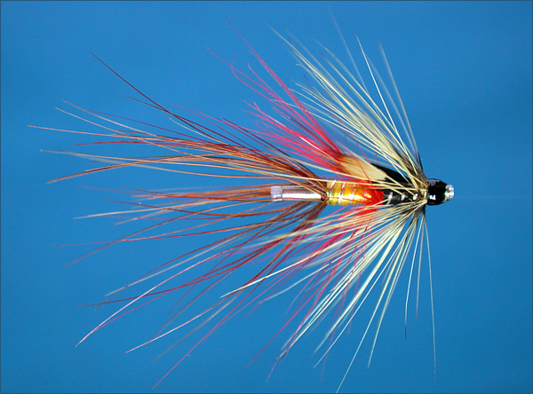 Bann Special Shrimp Salmon Tube Fly