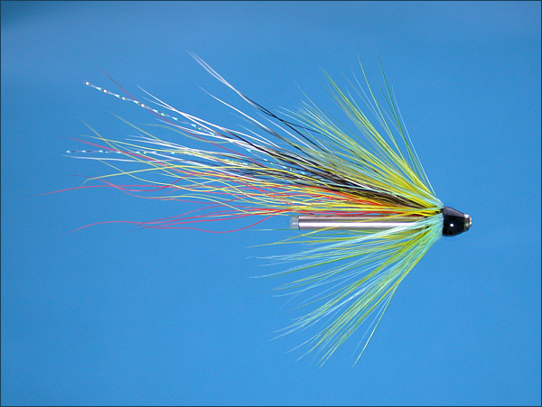 Beltra Badger Salmon Tube Fly
