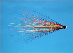 Willie Gunn Salmon Tube Fly